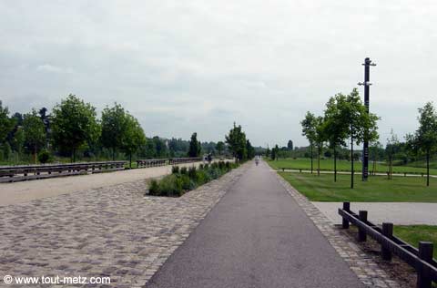 Parc de la Seille à Metz avenue centrale 1