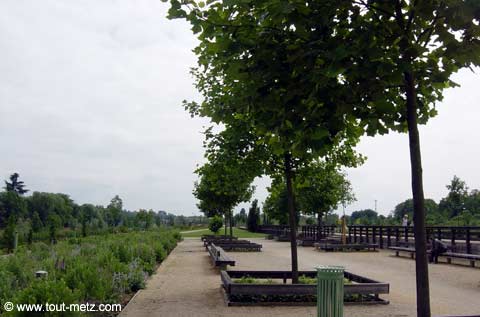 Parc de la Seille à Metz milieu 4
