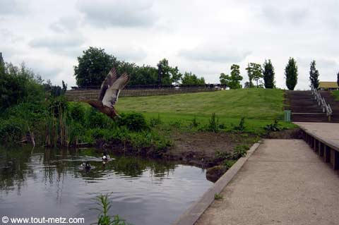 Parc de la Seille à Metz cote riviere 10