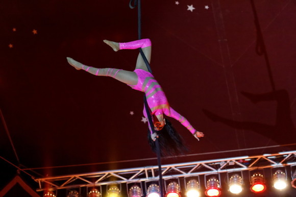 Photo : site officiel du Cirque Luigi Zavatta.