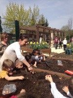 Première séance de jardinage pour les maternelles de l'école POUGIN, avec les structures "utilisatrices" du jardin