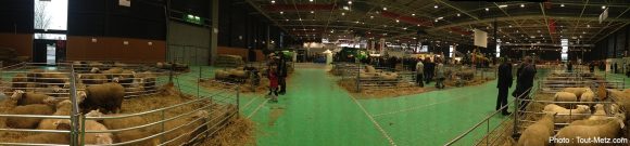 Agrimax-pano