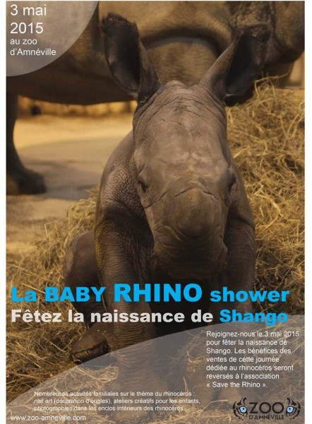 baby-rhino-shower