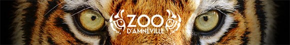 Photo : Zoo d'Amnéville