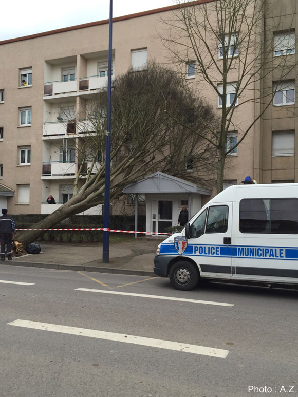 Un arbre s'est écrasé sur la façade d'un immeuble Avenue André Malraux à Metz