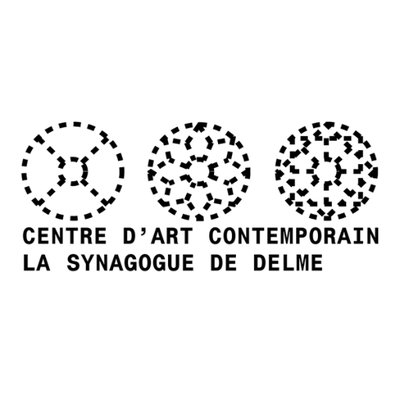 Centre d'art contemporain - la synagogue de Delme
